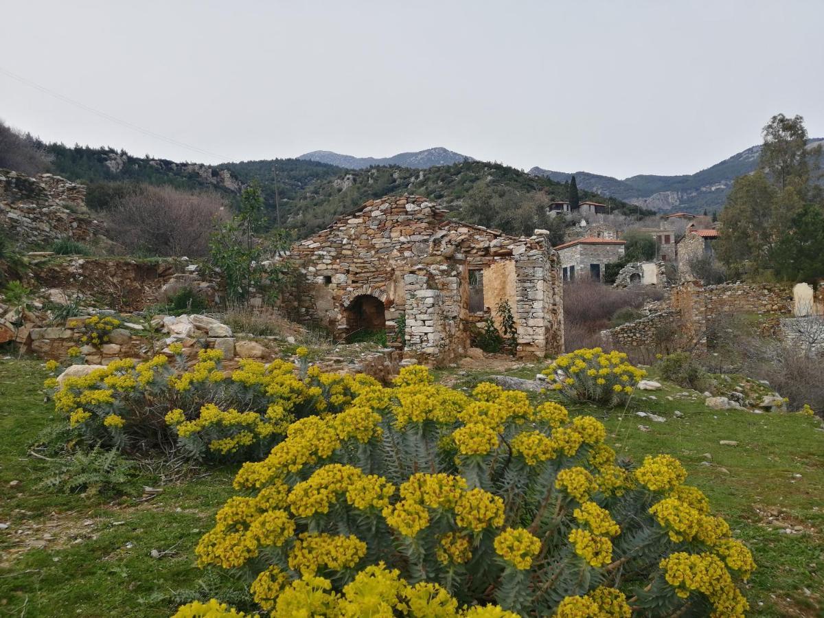 Puli Stone Houses Doğanbey 外观 照片